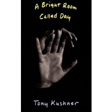 (영문도서) A Bright Room Called Day Paperback, Theatre Communications Group, English, 9781559360784