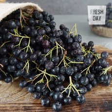 프레시데이 고창 프리미엄 아로니아 냉동생과, 1박스, 10kg