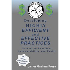 (영문도서)Developing HIGHLY EFFICIENT and EFFECTIVE Practices: Secrets to Practical Accoun... Paperback, Independently Published, English, 9798314071335