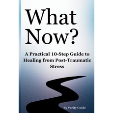 (영문도서)What Now?: A Practical 10-Step Guide to Healing from Post-Traumatic Stress Paperback, Independently Published, English, 9798272565815