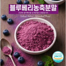 이번생은 블루베리농축분말 미국산 전통 블루베리, 1개, 300g