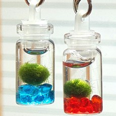 미미네아쿠아 마리모키우기 열쇠고리병 세트 x 2개, 1세트