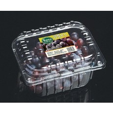 투명 플라스틱 포도 1kg 포장 용기 10개 101-9, 1세트