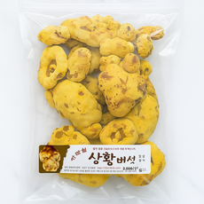 [가마실농원] 국산 장수상황버섯 농장직송, 1개, 200g
