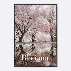 스웨리움 미드센츄리 모던 감성 사진 인테리어 포스터 액자 벚꽃 나무 풍경 Bloomin, A4 (210 x 297 mm), 포스터만 구입