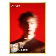 OLIVET 액자 알루미늄 포스터 액자 대형 벽걸이 인테리어, 1개, 금색
