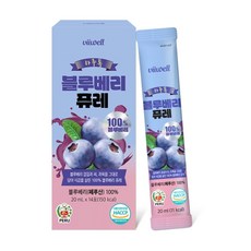 Charm Goods 비웰 하루톡 블루베리 퓨레 14포, 2개, 20ml