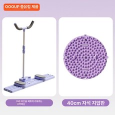 스키머신 엉덩이 균형 근력, 세트 자기판 40cm, 1개, 1kg