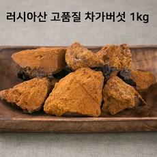 러시아 차가버섯 원물 1kg 대용량 시베리아 고품질 러시아산, 1개