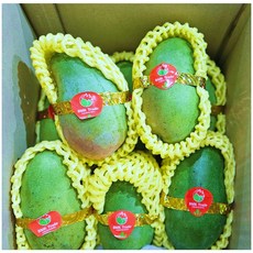 비엠케이 베트남 그린망고 베이비망고, 1박스, 2.5kg