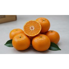 당일선별 껍질얇고 고당도 과즙 터지는 레드향 3K, 1개, 2kg, 2g