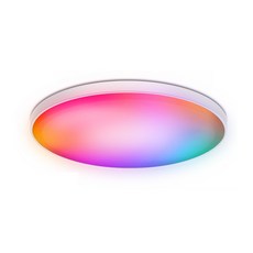 XINGMU 興沐 智能WiFi吸頂燈 RGB CW調光調色 語音控制 超薄三防 現代簡約燈具, 30W七彩藍牙款