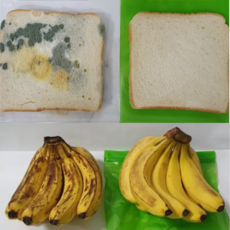 그린백 그린팩 지퍼백 지퍼팩 이중 친환경 비닐팩 미니 소형 중형 신선도유지 대형 건강한날, 소(S)