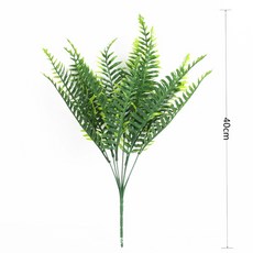 불가사리 보스턴고사리 스테고사우루스 빠가사리, 1개