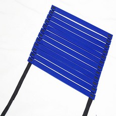 敏捷梯 節奏梯 軟梯 體能訓練 6米12節 少兒體適能 初學者 室內練習, 6米12節藍色, 1個