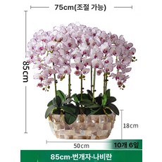 화분 꽃 장식품 호접란대형조화 취임난 개업축하 가짜 난초 꽃 인공, 쉘 화분 라이트닝퍼플