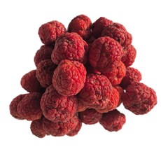 친환경유기농꾸지뽕열매냉동, 2kg