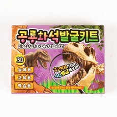 공룡화석발굴키트 (4개세트) rkr643EW, 1개, 단일