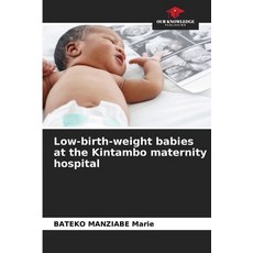 (英文圖書)Low-birth-weight babies at the Kintambo maternity hospital 平裝版, Our Knowledge Publishing, 英文