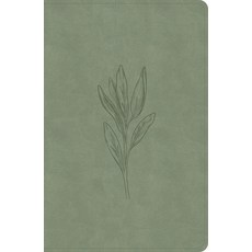 (영문도서) CSB Large Print Personal Size Reference Bible Digital Study Edition Sage Suedesoft Leathert... Imitation Leather, Holman Bibles, English, 9798384509400