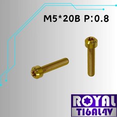 ROYAL 鈦合金錐形螺絲 M5*20B P:0.8 (64鈦 土豪金), 1個