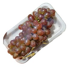 델라웨어 씨없는포도 데라웨어 포도 미니포도 국산적포도 국산청포도 1KG 2KG, 1박스, 데라웨어 청포도 1KG