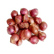 샬롯 미니양파 shallot, 1개, 100g