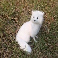 같은 아기여우 얼룩 소형 동물 비단뱀 구미호 아기뱀 01 30cm, 쪼그리고앉는여우길이16CM높이14CM