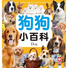 幼福文化 狗狗小百科 正方形 小百科 全新