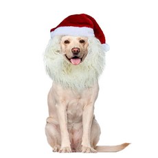 대형견 크리스마스 모자 개 산타 수염 조절 가능한 겨울 애완동물 머리 목 워머 의상_155390