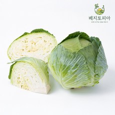 [품질보장] 수입 베트남 양배추 15kg 식자재 신선 업소용 대용량, 1박스