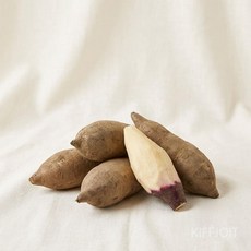 한정수량 시원달달 특상품 냉동야콘카사바 제니오숲, 야콘 1kg(best), 1개, 야콘 1kg(best)