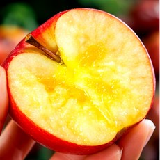 [3일간초특가] A급 고당도 못난이 사과, 1개, 5kg