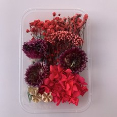 台灣出貨 裝飾 幹花束 花束干花材料包永生干花A款畫團扇賀卡手工干花小花束天然真花滴膠, 33號精致干花/盒