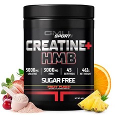 운동 보조 크레아틴 HMB 파우더 45회분 5g 모노하이드레이트 3g 페린 근육 성장 힘 무향 SPOR g, 프루트 펀치