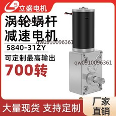 立盛 5840-31ZY 直流減速電機 渦輪蝸桿 馬達, 1個, 80轉/分,粉末冶金&12V