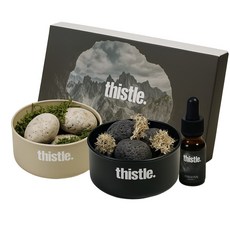 에그 스톤 디퓨저 방향제 집들이 선물 세트 아로마 홈데코 인테리어 오브제, 1세트, 카야(교보문고향)