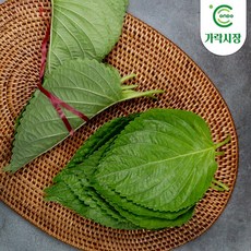 [온도씨]가락시장 당일경매 깻잎 1단, 1개