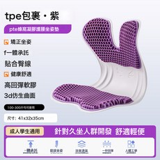 DFMEI 夏季蜂窩凝膠坐墊護腰靠墊辦公室腰靠久坐記憶棉腰靠人體工學椅子, ETP-包裹紫