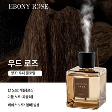 퀴브 피톤치드연무기 방역 분사기 방역기 연막, 에보니 로즈, 1개, 스마트 아로마테라피 기기 200ml