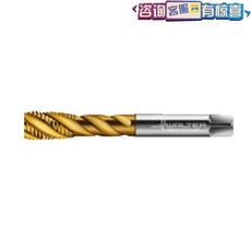 Walter 瓦爾特 EP2056305-M12 粉末冶金高速鋼機用絲錐, 1個