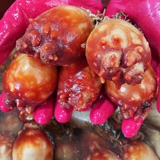 봄 제철 통영 활 멍게, 1개, 3kg(kg당7-10미내외)