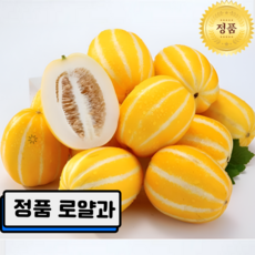 [정품로얄과만]첫출하 초특가 달콤꿀 성주 참외, 1세트, 1kg(로얄과)