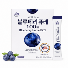 굿픽샵 코스트코 블루베리 퓨레 100% 미국산 NFC 착즙 블루베리주스 스틱+고급사탕증정, 2개, 800g
