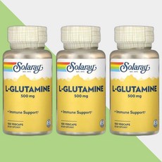 솔라레이 엘 글루타민 500mg 100캡슐 아미노산 L Gultamine 3개