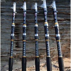 廣隆 海霸王8件釣魚套裝組合：遠投海竿、漁輪、魚線、浮標、魚鉤全配, 2.1米