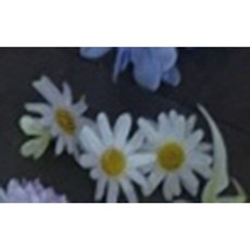 생화만다라 만들기 키트, 2~3cm, 화이트