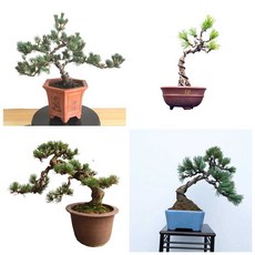 분재철사 소나무 연질 분재용철사 정원 고정 수형 와이어, 1개, 구리 4mm 코일(5m)