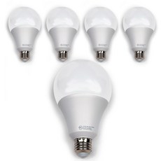 데이온 led 전구 20w 벌브, 흰색, 5개