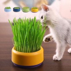 캣그라스 수경재배 그릇 고양이 급식기 키우기, 연블루, 1개, 170g